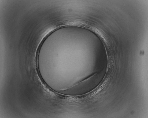 X0000097861087200803281306