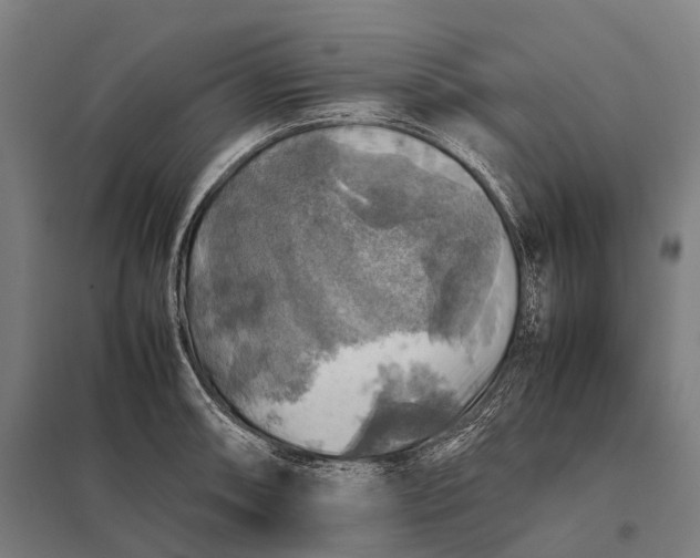 X0000097861090200803281306