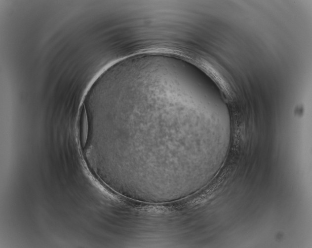 X0000097861092200803281306