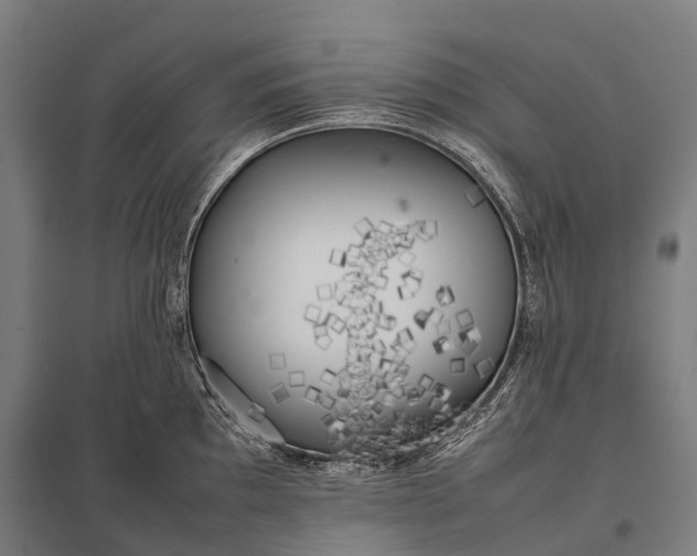 X0000097861097200803281306