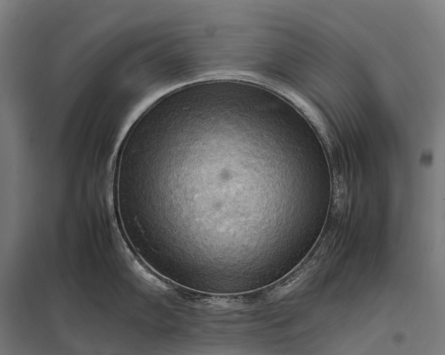 X0000097861102200803281306