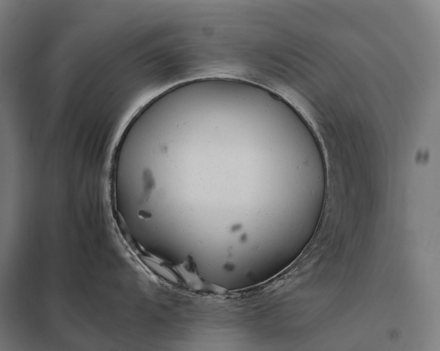 X0000097861104200803281306