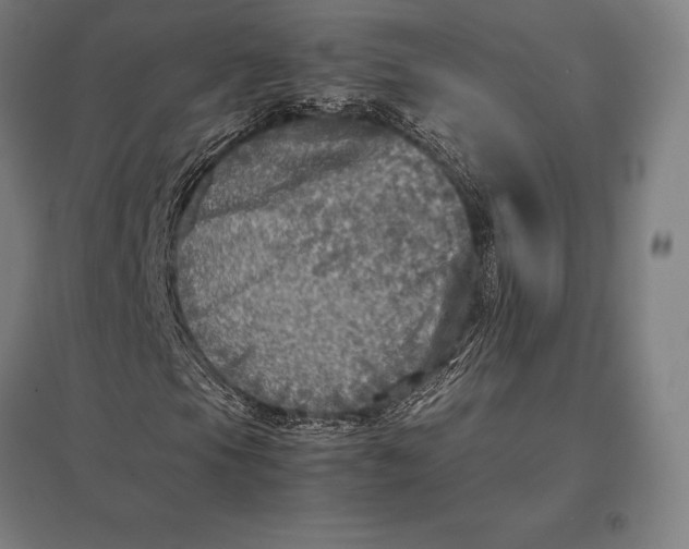 X0000097861105200803281306