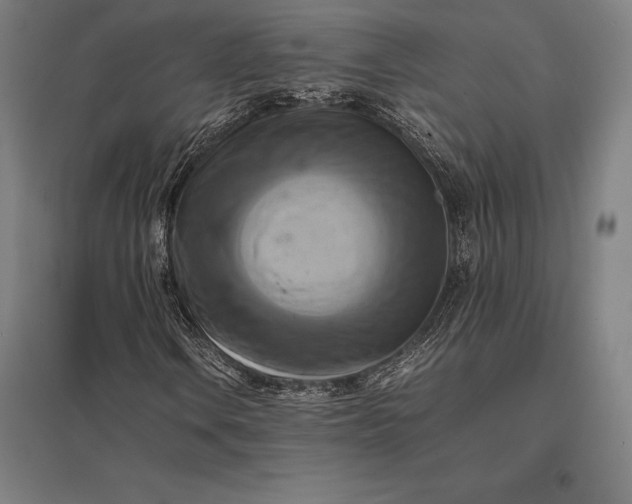 X0000097861106200803281306