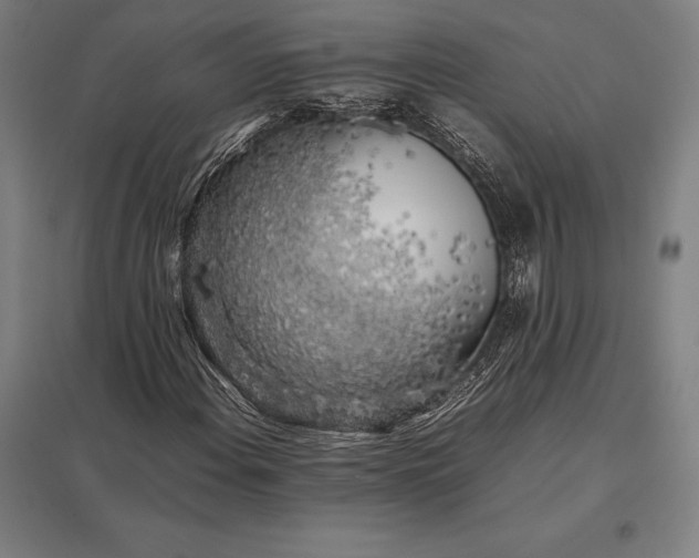 X0000097861108200803281306