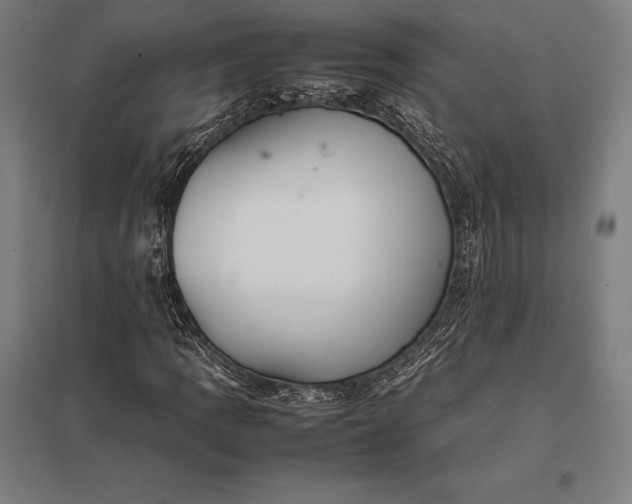 X0000097861109200803281306