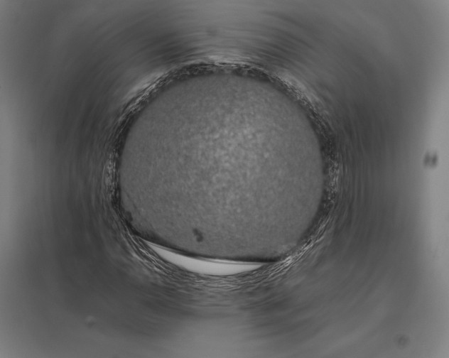 X0000097861110200803281306