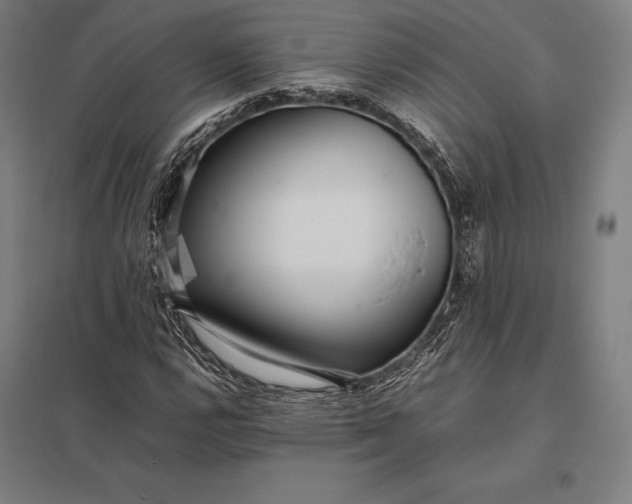 X0000097861112200803281306