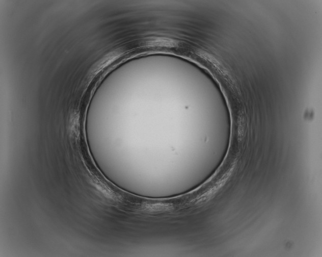 X0000097861113200803281306