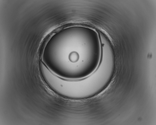 X0000097861114200803281306