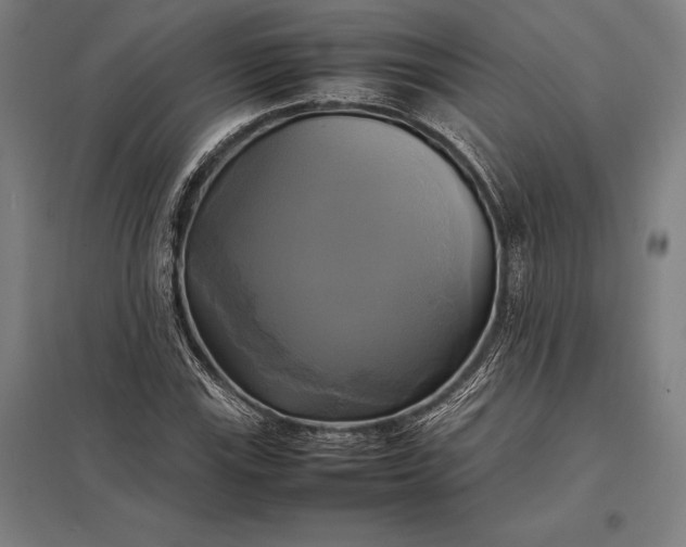 X0000097861115200803281306