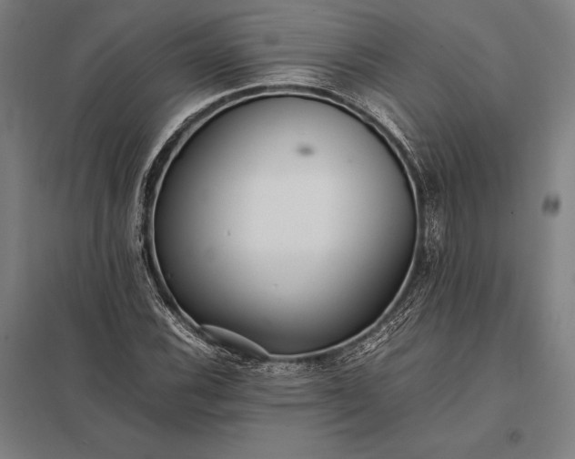 X0000097861116200803281306