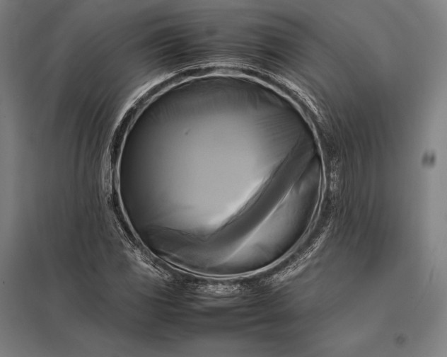 X0000097861117200803281306