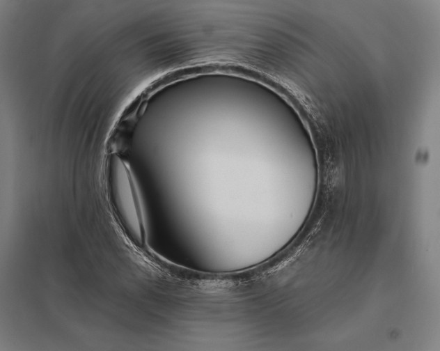 X0000097861118200803281306