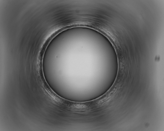 X0000097861119200803281306