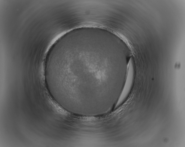 X0000097861120200803281306