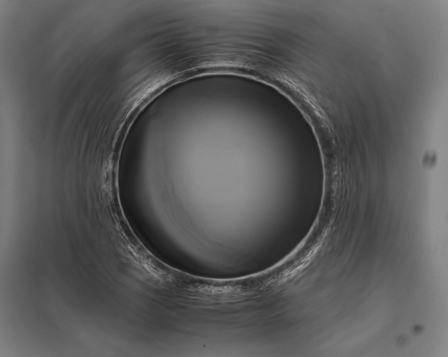 X0000097861121200803281306