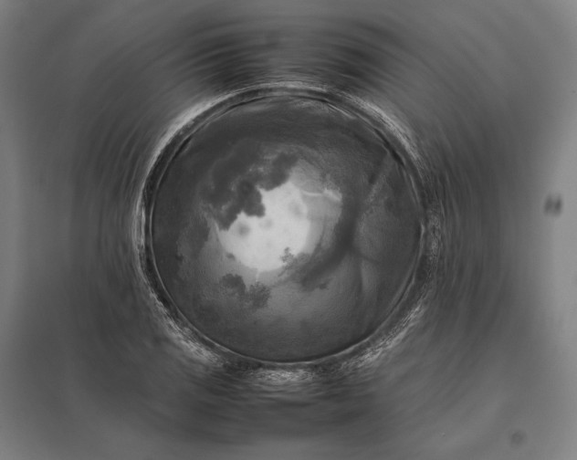 X0000097861125200803281306