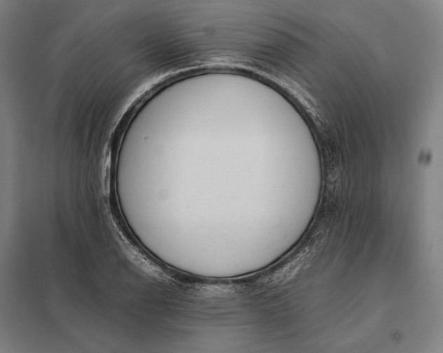 X0000097861126200803281306