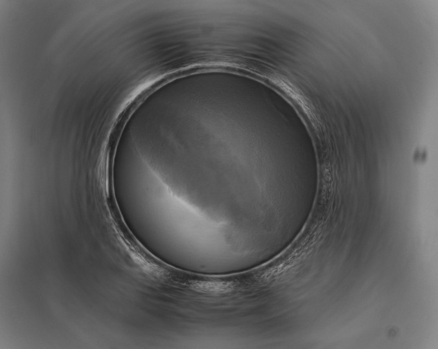 X0000097861127200803281306