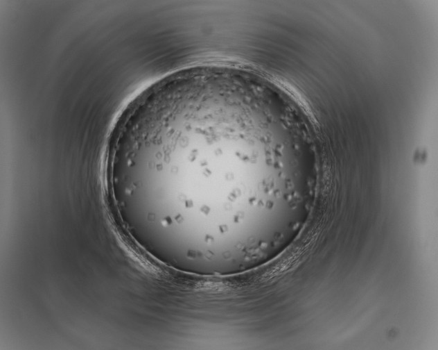 X0000097861128200803281306