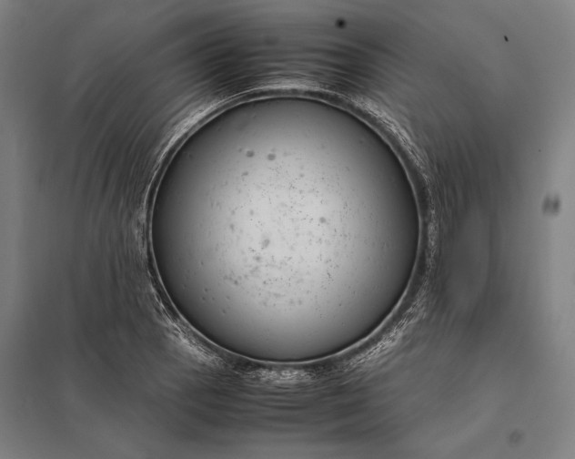 X0000097861129200803281306