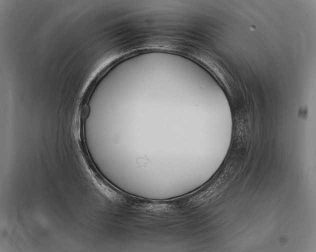 X0000097861131200803281306