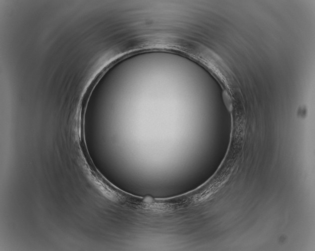 X0000097861132200803281306