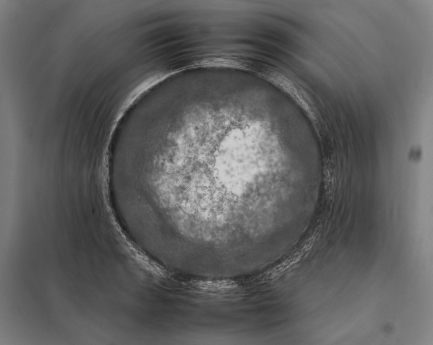 X0000097861133200803281306