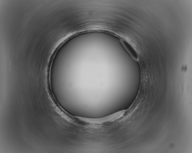 X0000097861134200803281306