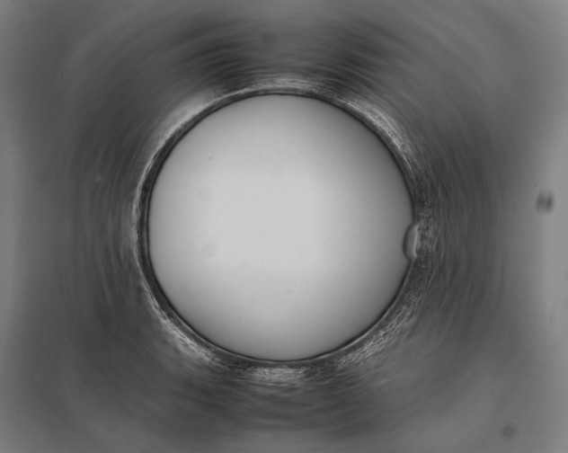 X0000097861135200803281306