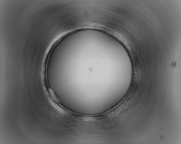 X0000097861136200803281306