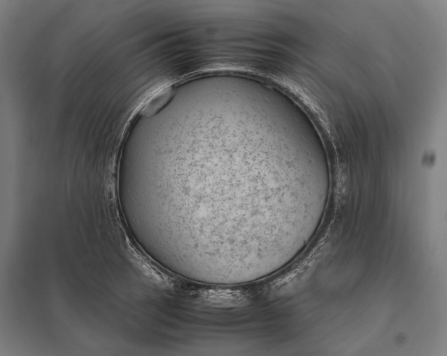 X0000097861137200803281306