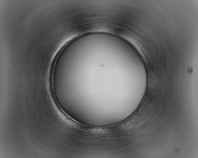 X0000097861139200803281306