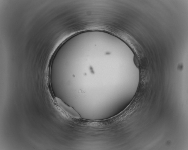 X0000097861140200803281306