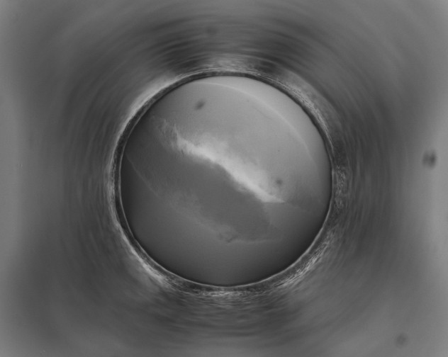 X0000097861141200803281306