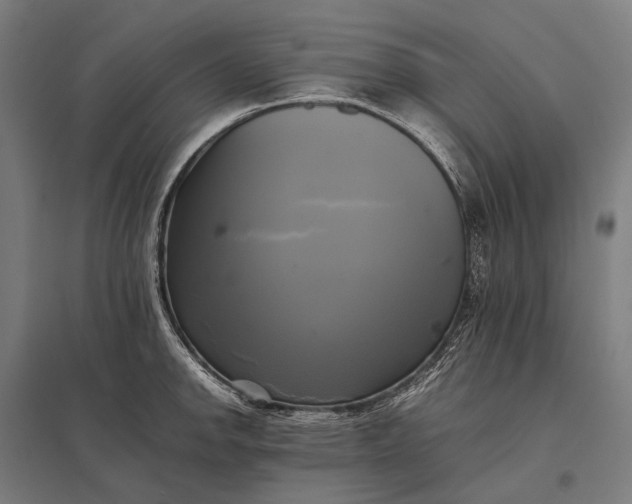 X0000097861142200803281306