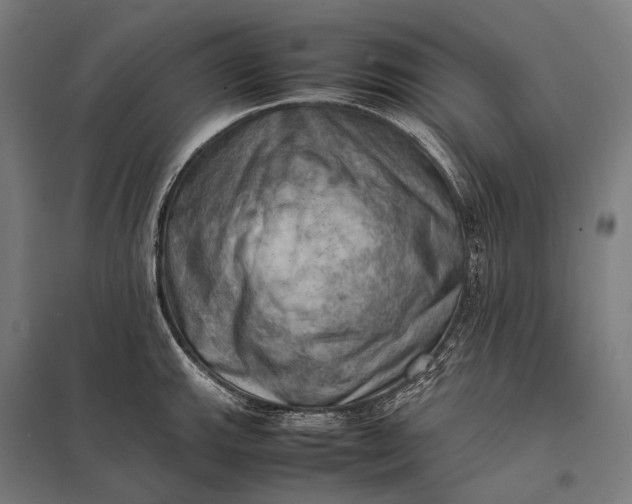 X0000097861143200803281306