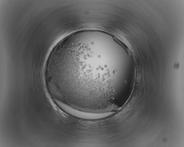 X0000097861144200803281306