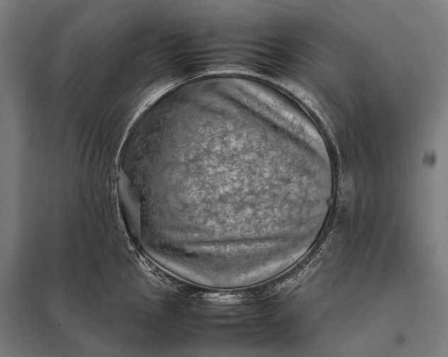 X0000097861145200803281306