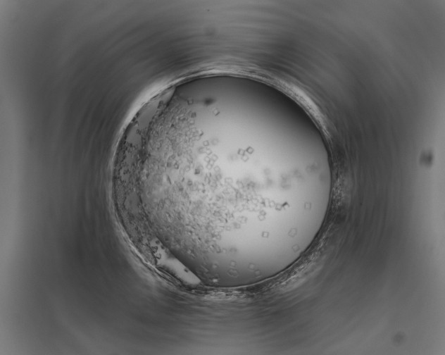 X0000097861146200803281306