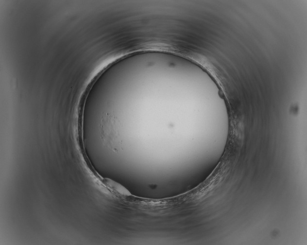 X0000097861147200803281306