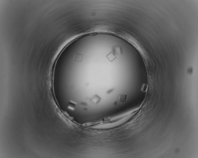 X0000097861148200803281306