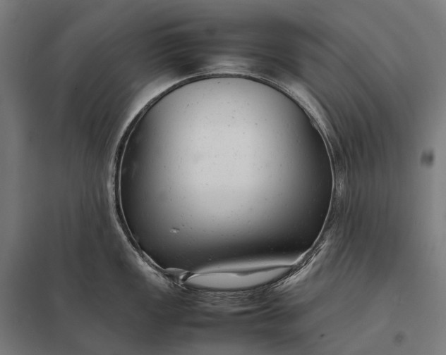 X0000097861149200803281306