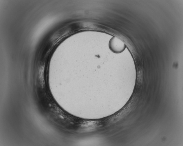 X0000097861150200803281306