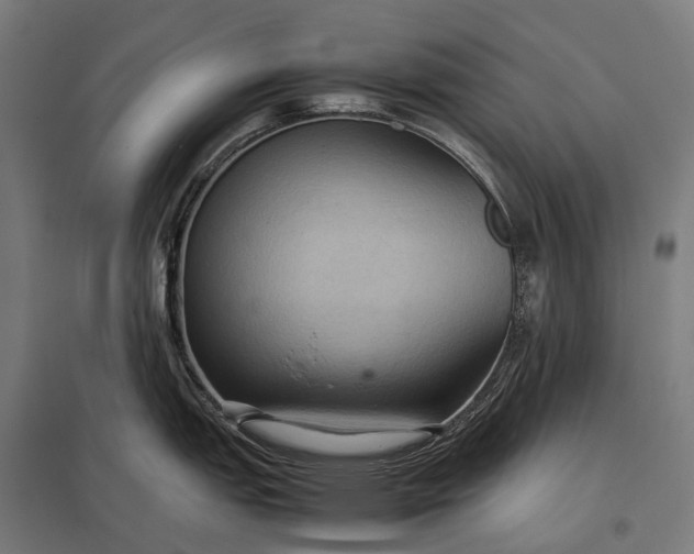 X0000097861151200803281306