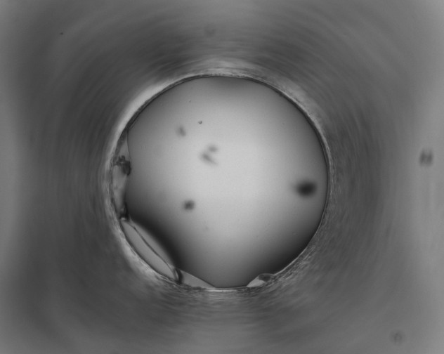 X0000097861152200803281306