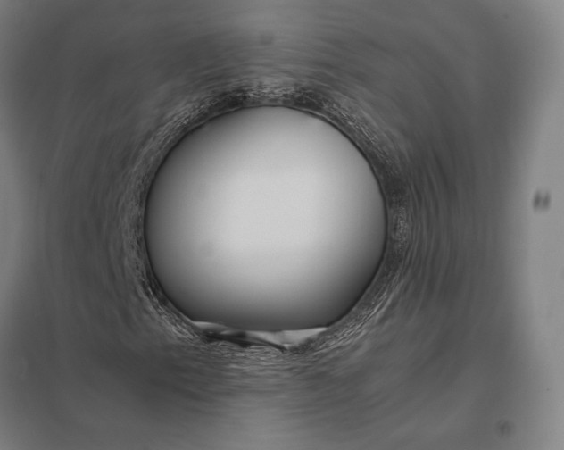 X0000097861153200803281306