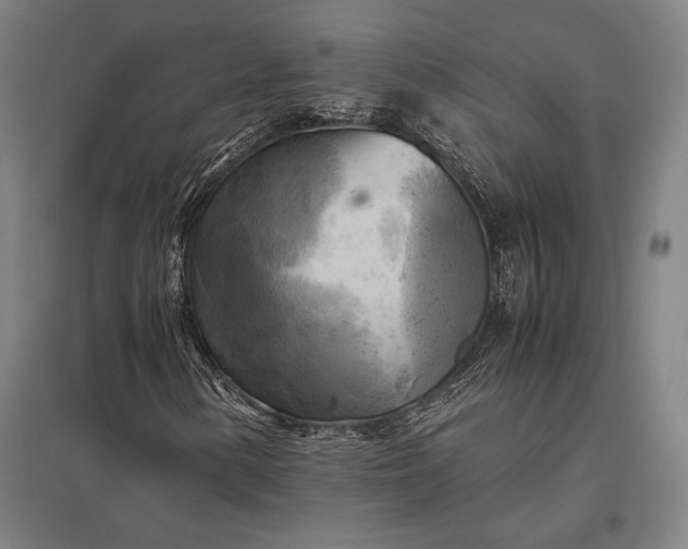 X0000097861154200803281306