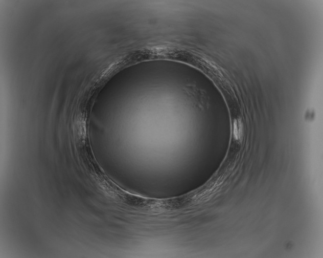 X0000097861155200803281306